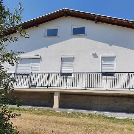 Apartma Zdenko Izola Buitenkant foto