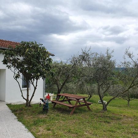 Apartma Zdenko Izola Buitenkant foto